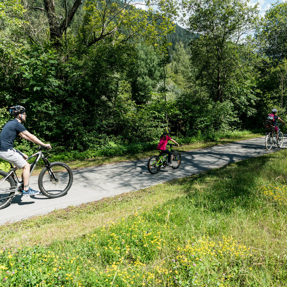 Eine dreiköpfige Familie am Radfahren auf dem Iselradweg. Der asphaltierte Weg ist umgeben von saftig grünen Bäumen und einem Grünstreifen mit vielen, gelben Blumen.