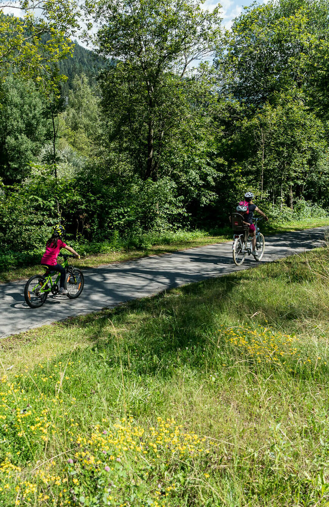 Eine dreiköpfige Familie am Radfahren auf dem Iselradweg. Der asphaltierte Weg ist umgeben von saftig grünen Bäumen und einem Grünstreifen mit vielen, gelben Blumen.