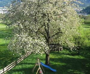 Ackererhof