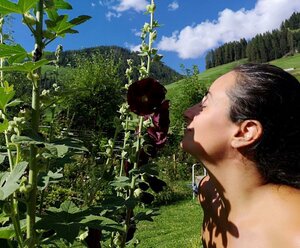 Frühstückspension Mühlmann&Schön