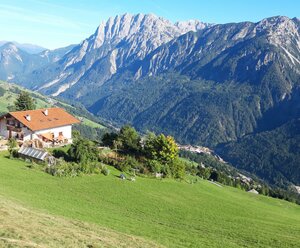Binderhof