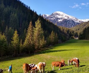 Kloitzhütte