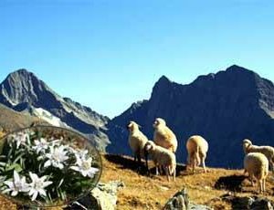 Christneralm