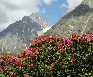 Pension LEDERERHOF