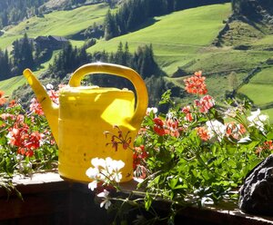 Obergraferhof Albrecht Ortner