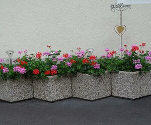 Appartement Sylvester