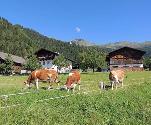 Oberthalerhof