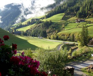 Obergraferhof Albrecht Ortner