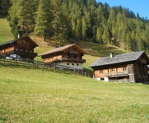Alfenalm - Ferienwohnungen am Berg - Almhütte