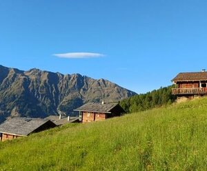 Zirbenalm
