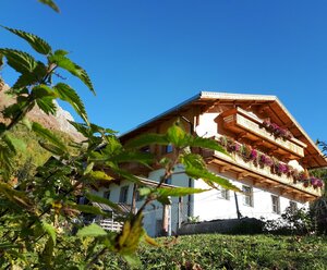 Gästehaus Bergwald - PÖTSCHERJAHRINGERHOF