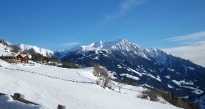 Biobauernhof Berger-Veidlerhof