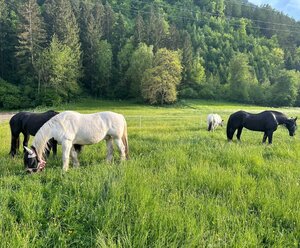 Linderhof