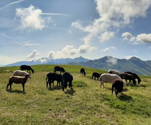 Hotel-Gasthof Andreas