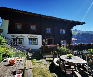 Gemeinschaftsausstellung "verzehren Fleisch verzerren"