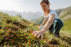 kostenlos geführte Wanderung - Eggen - Kircher Almen