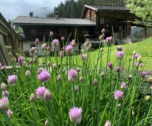 Ferienhaus im Bergidyll