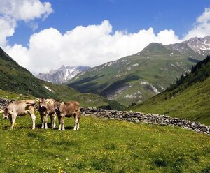 Ferienwohnung JOSEN