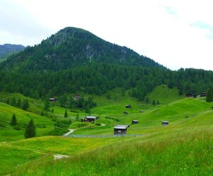 PLONERHOF