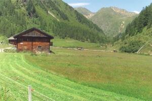 Almhütte Unterkofel