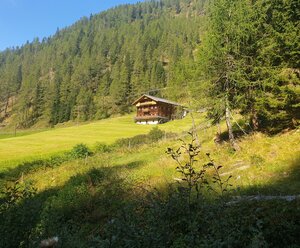 Almhütte Thaletalm