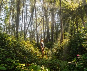 Geführtes Waldbaden