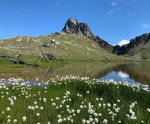 Ferienwohnung BodnLois