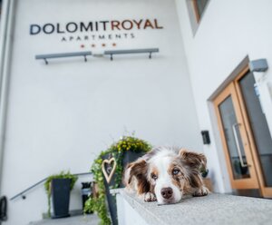 DolomitRoyal Apartments GmbH