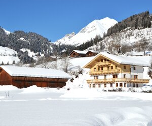Santner alpine tauern living