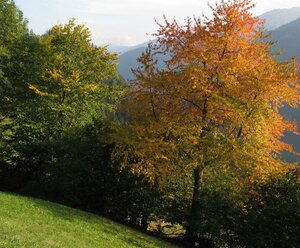 Appartement Sonnleitn