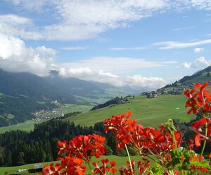 Hotel Schöne Aussicht