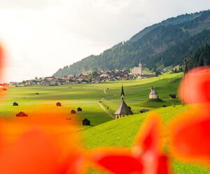 Bucherhof/Privatzimmer