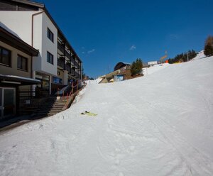 Jaufenthaler Waltraud