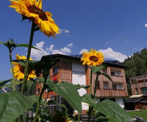 Brückenwirt Appartements GmbH