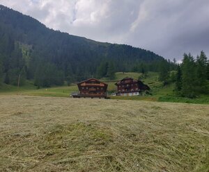 Almhütte Thaletalm