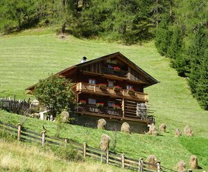 Alfenalm Obergrafer