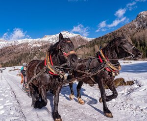 Brückenwirt Appartements GmbH