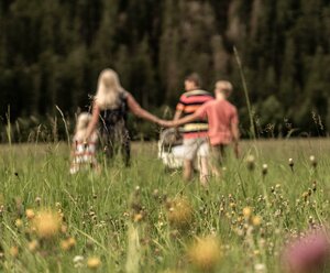 Almfamilyhotel Scherer