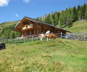 Hahnenfußalm