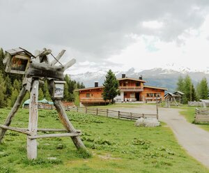 Leckfeldalm