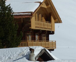 Alblerhof