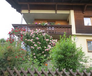 Haus mitti