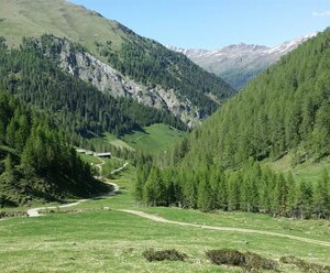 Alfenalm - Ferienwohnungen am Berg - Almhütte