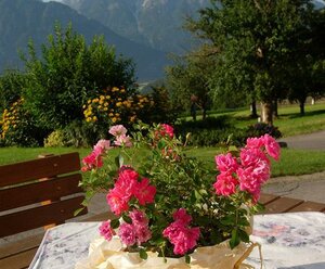 Moarhof - Familie Zeiner