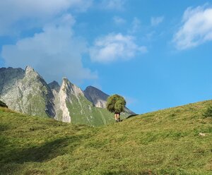 Gästehaus Bergwald - PÖTSCHERJAHRINGERHOF