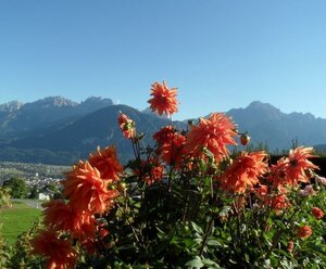 Moarhof - Familie Zeiner