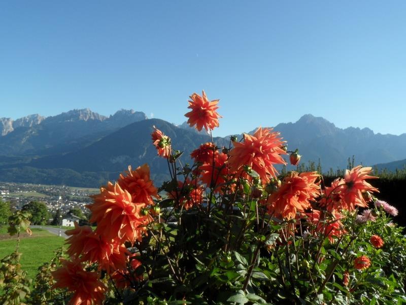 Moarhof - Familie Zeiner